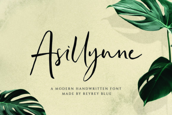 Asillynne: A Playful Script Font