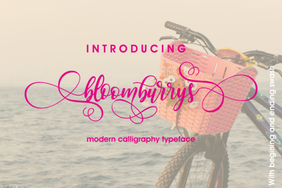 Bloomburrys: A Playful Script Font
