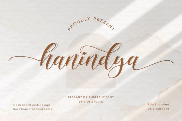 Hanindya: A Elegant Script Font for Business Branding