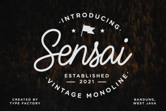 Sensai: A Beautiful Script Font for Your Brand