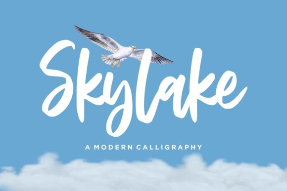 Skylake: A Elegant Script Font for Marketers